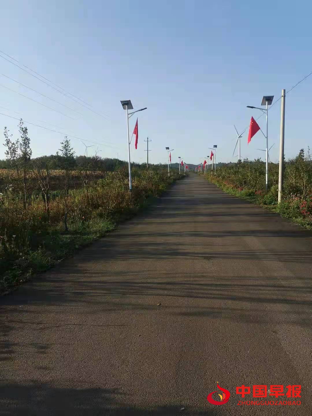1633592556134105.jpg