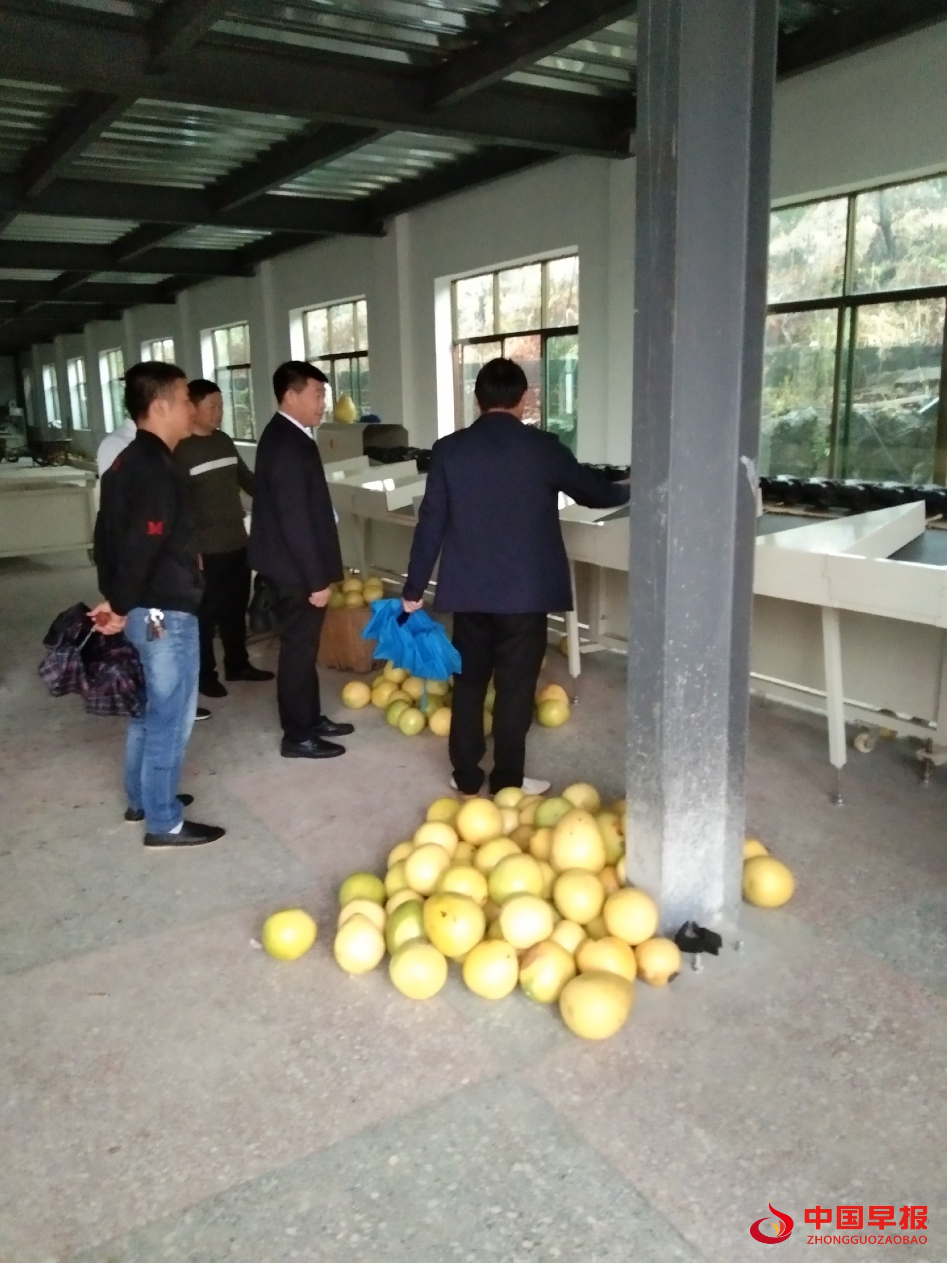 微信图片_20211010163658.jpg