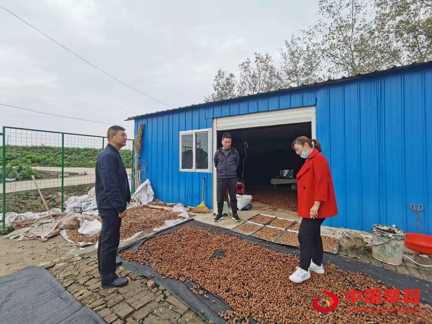 1634687286529058.jpg 1634687286529058.jpg