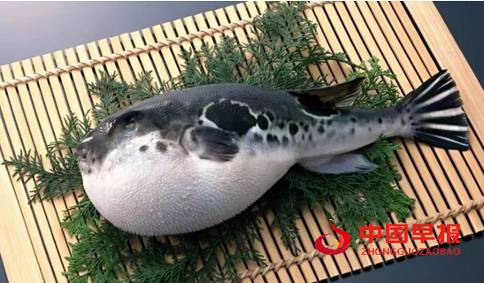 微信图片_20220116234828.png