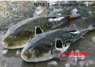 微信图片_20220116234832.png