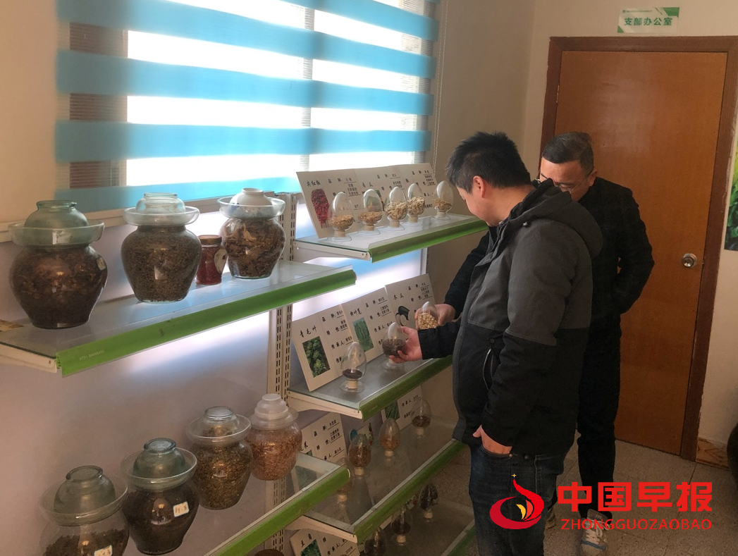图片1.png