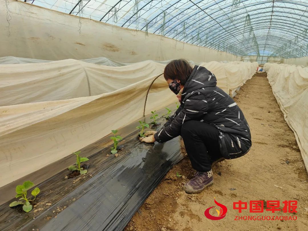 图片08.jpg