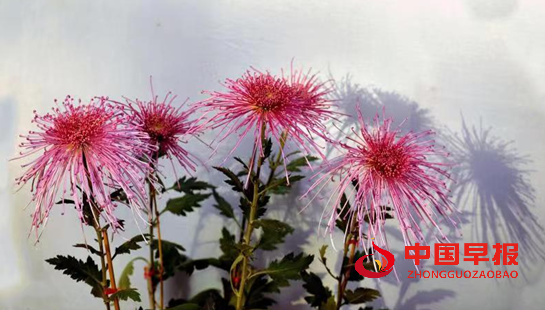 1655236055125244.png 微信图片_20220615032608.png