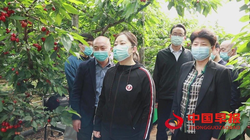 1655366190600942.jpg 图片01.jpg