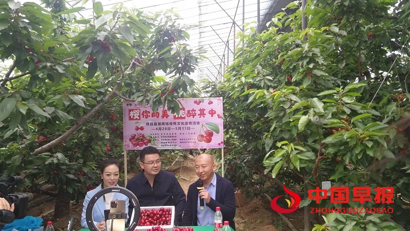 1655366433178910.jpg 图片05.jpg