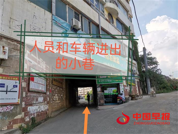 图片3