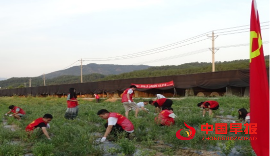 1660923701757964.jpg 1660922881788.jpg