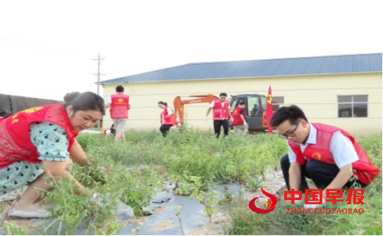 1660923787489043.jpg 1660922902709.jpg