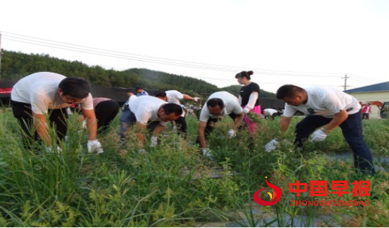 1660924125199741.jpg 1660922985884.jpg