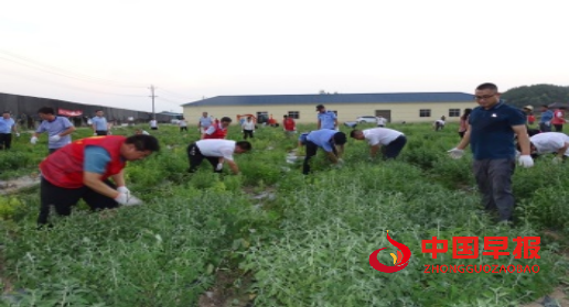 1660924204102574.jpg 1660923003068.jpg