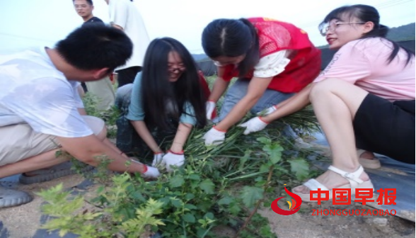 1660924267948522.jpg 1660923027682.jpg