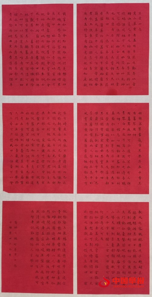 308田小毛.jpg