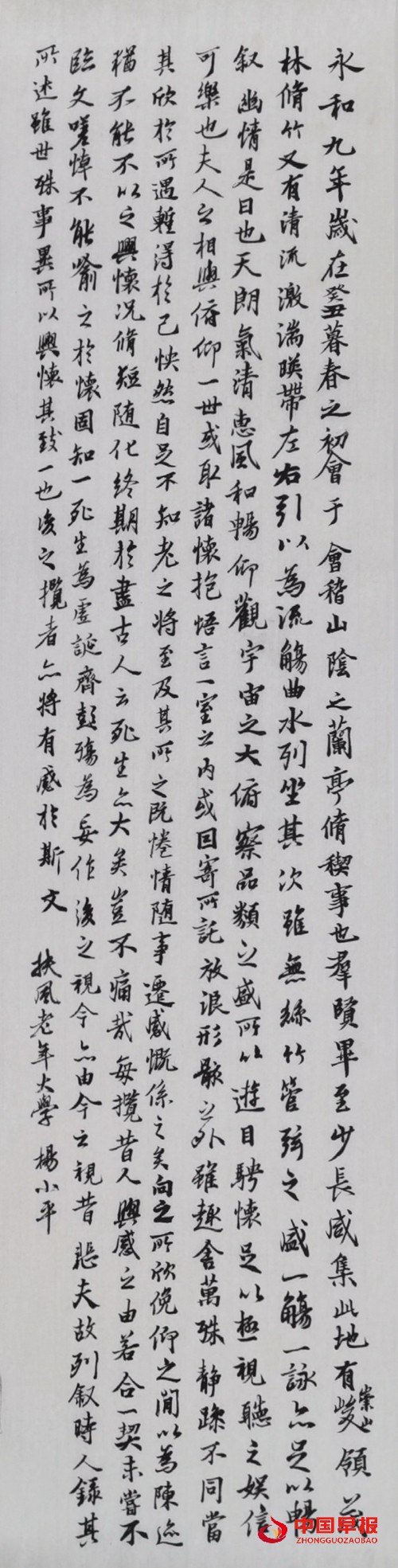 311杨小平.jpg