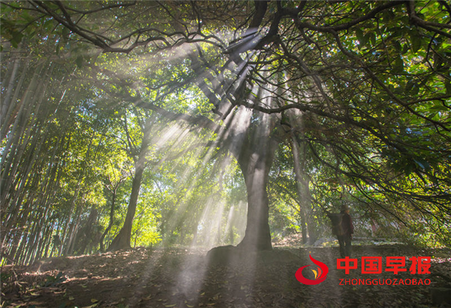 22212576352881812_5.png 22212576352881812_5.png