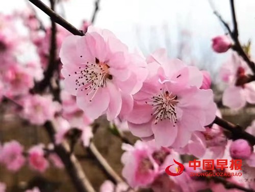 1680144669403376.jpg 微信图片_20230330103158.jpg