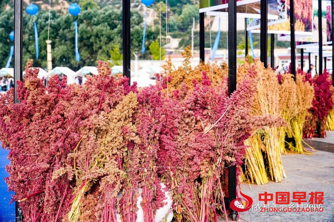 1694070069888026.jpg 图片05.jpg