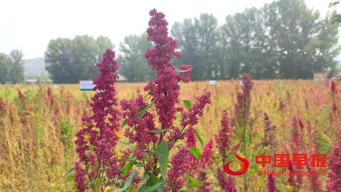 1694070180131575.jpg 图片07.jpg