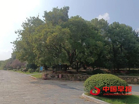 微信图片_20230919172645.jpg