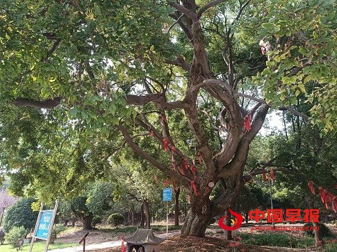 微信图片_20230919172715.jpg