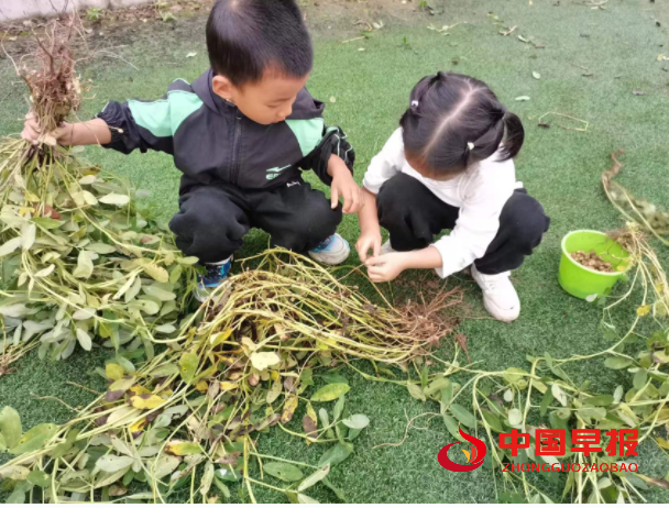 QQ图片20230927084300.png