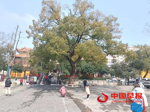 微信图片_20240329192519.jpg