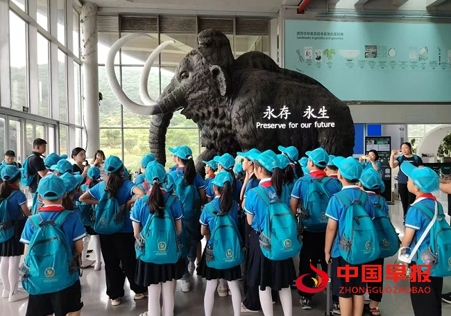 QQ图片20240523184218.png