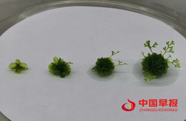 微信图片_20240617091442.jpg