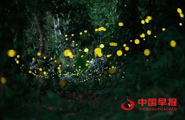 微信图片_20240628090740.jpg