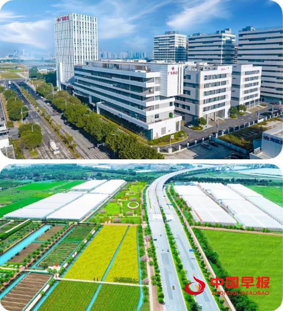 微信图片_20241012233757_副本.jpg