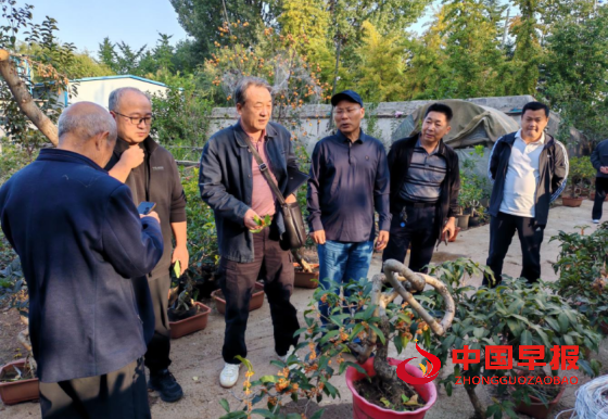 1728826537202823.png 640_副本.png