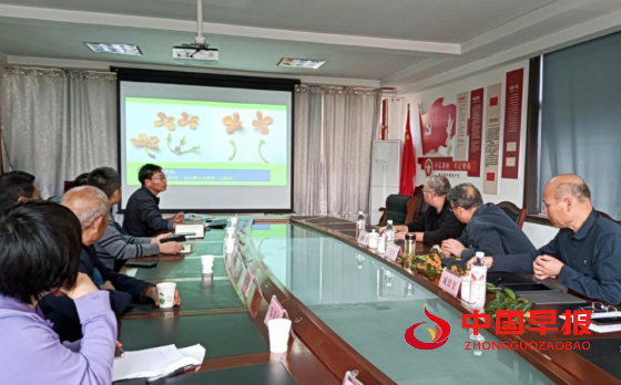 1728826547103304.png 640 (1)_副本.png