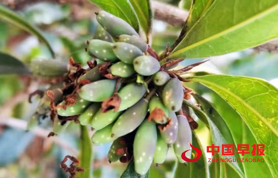 1728826557166209.png 640 (2)_副本.png