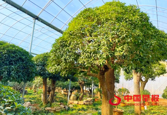 1728826582142007.png 640 (4)_副本.png