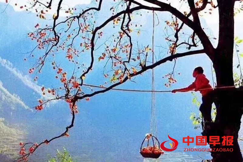 1728913439183014.jpg 640 (3)_副本.jpg