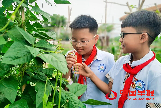 1729926474713941.png 小学生.png