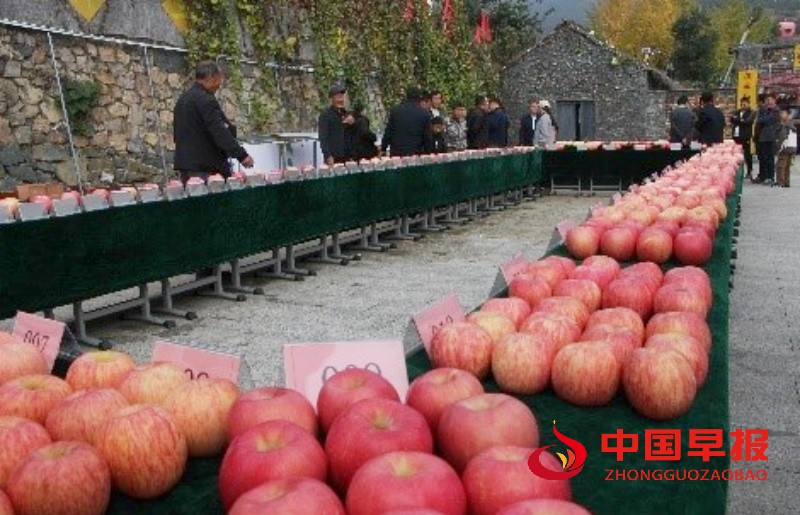 1730029004559582.jpg 1_副本.jpg