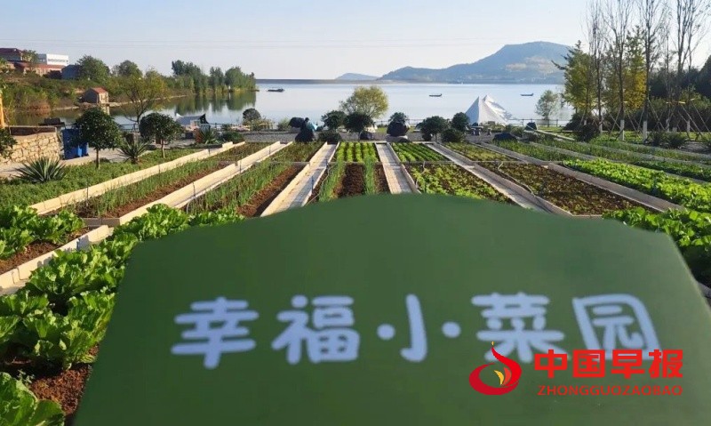 1730124087179259.jpg 640 (3)_副本.jpg