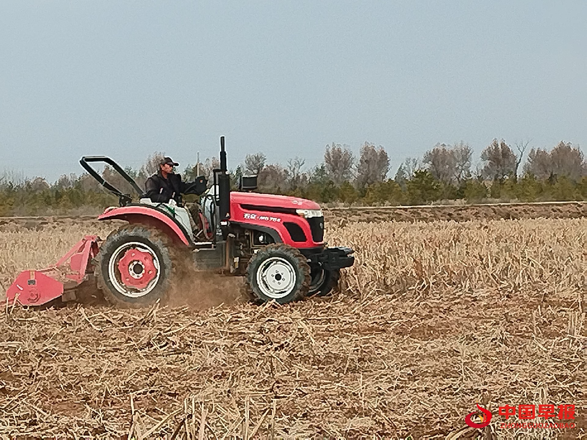 1730285994405941.jpg 图片01.jpg