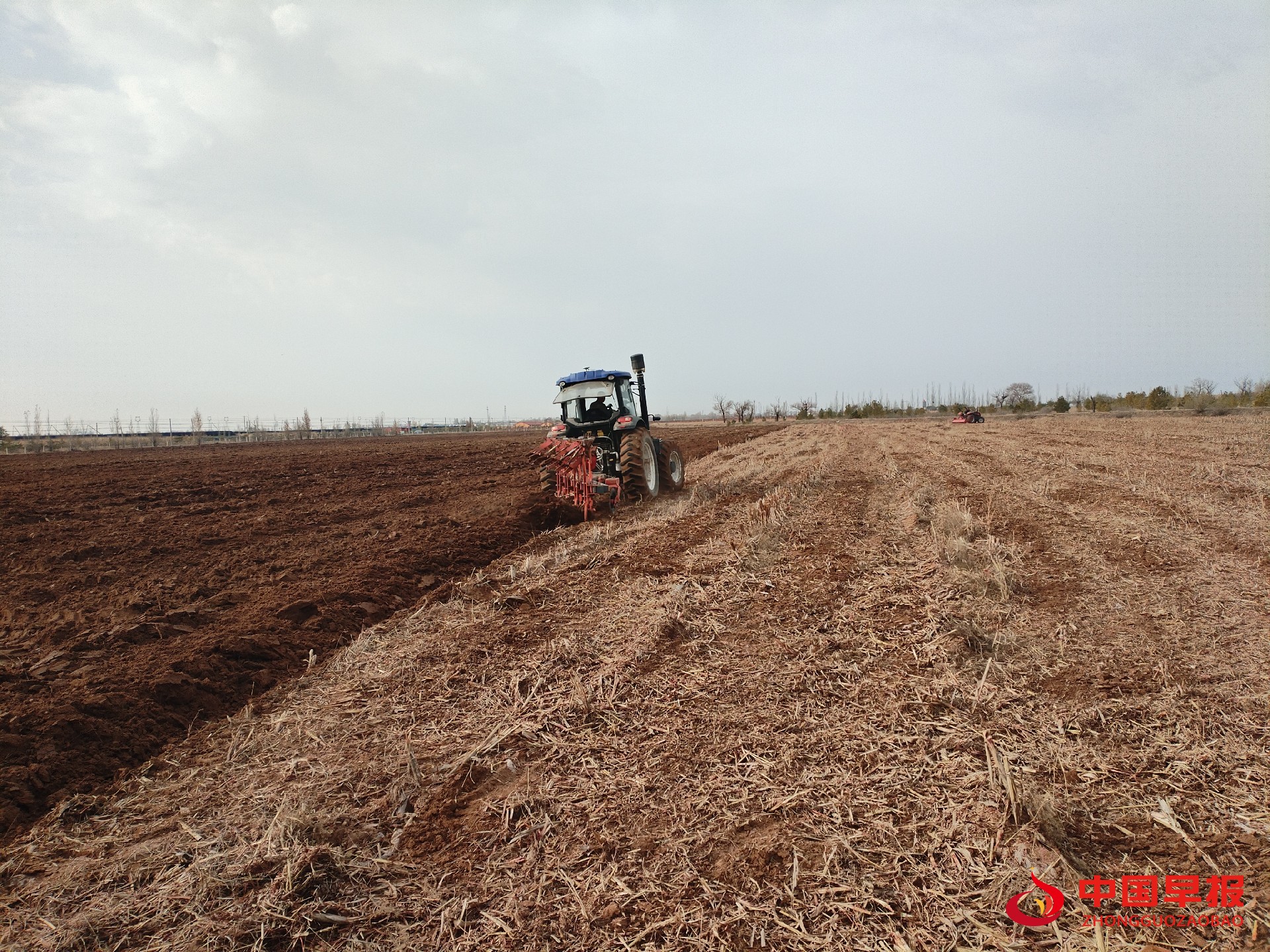 1730286176504920.jpg 图片03.jpg