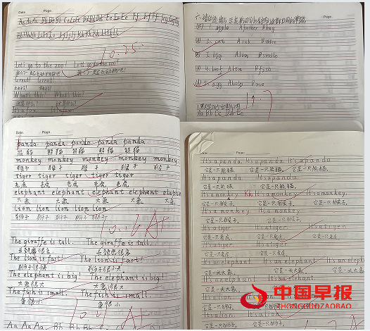 1732170954117605.png 55.png