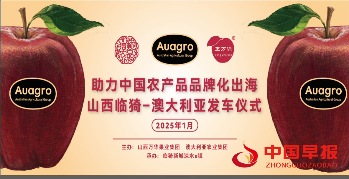 图片01.png