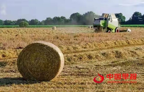 微信图片_20250312093637.jpg