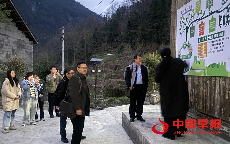 微信图片_20250314143341_副本.jpg