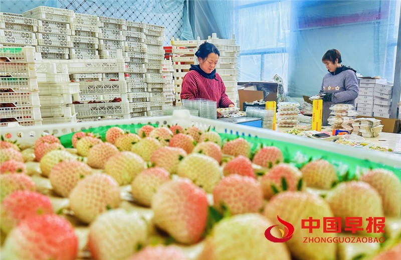 微信图片_20250320095748_副本.jpg