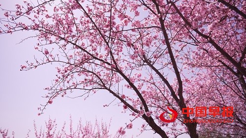 微信图片_20250327122002.jpg