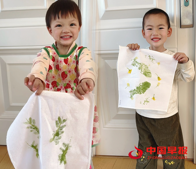 画油菜花画.png