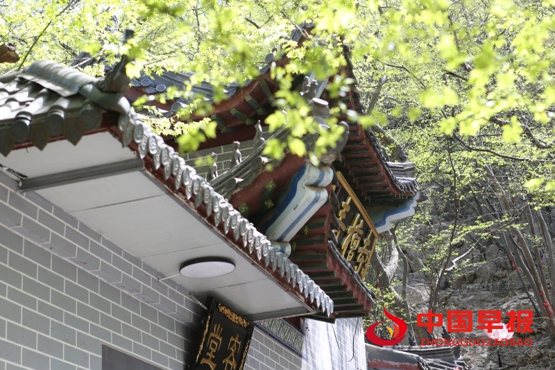 AW8U9893_副本.jpg