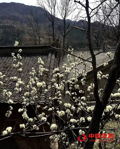 微信图片_20250409172716.jpg