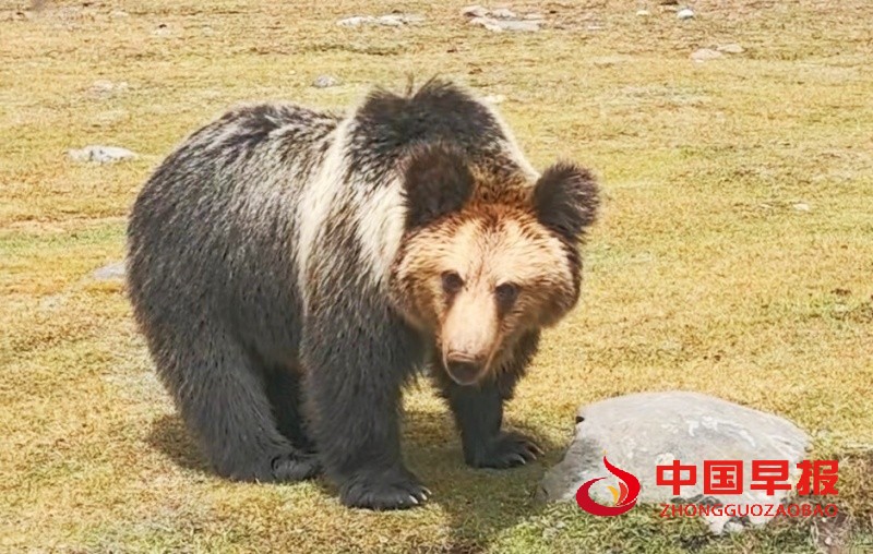 微信图片_20250420180849_副本.jpg